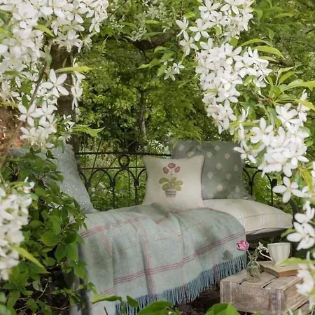 Quarto em Acomodações Particulares Casa Martini Vicino Al Mare In Esclusiva Solo Per Voi *