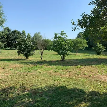 Casa Martini Vicino Al Mare In Esclusiva Solo Per Voi