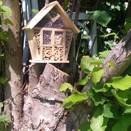 Casa Martini Vicino Al Mare In Esclusiva Solo Per Voi Privatunterkunft Gradara